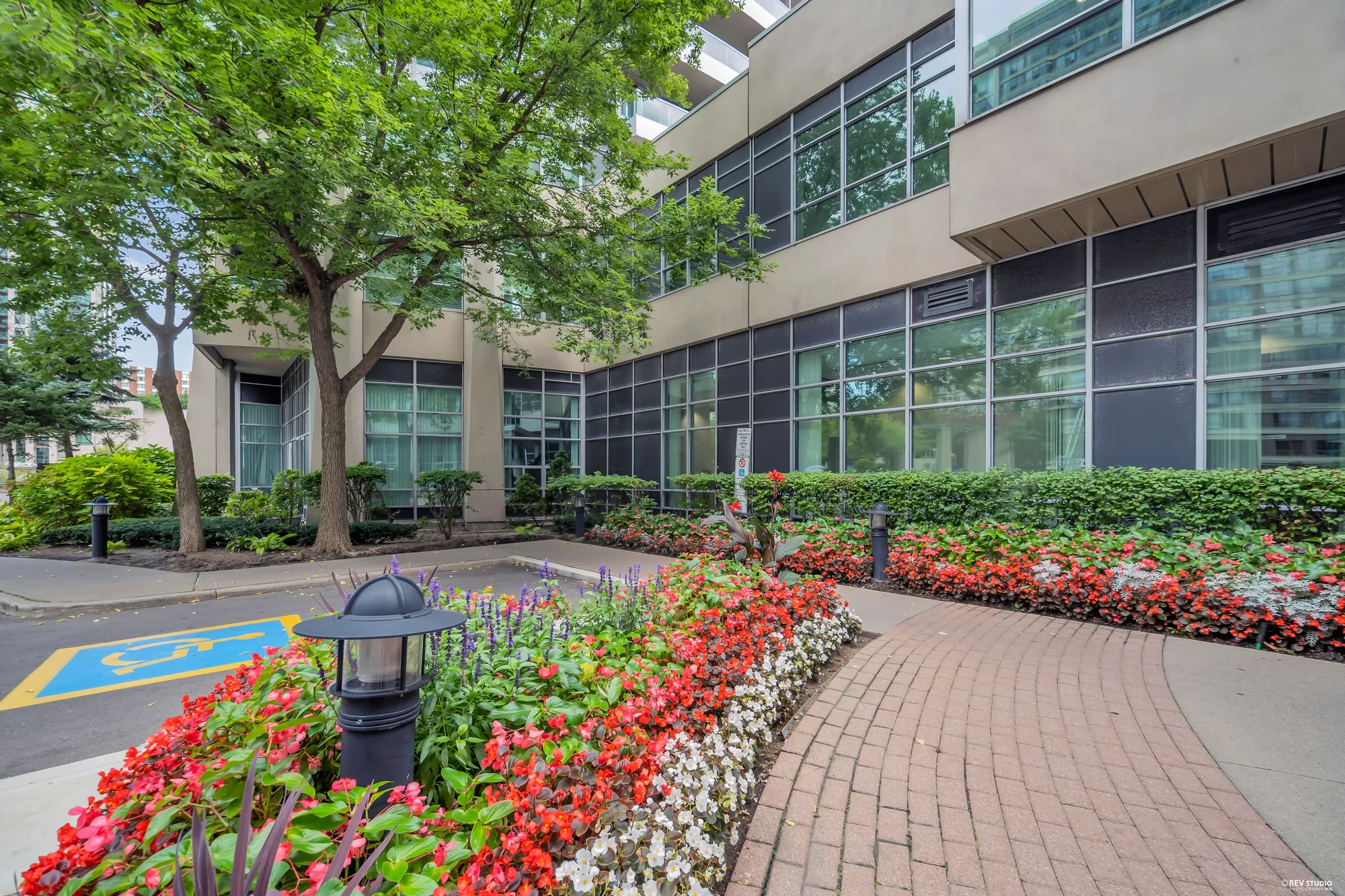 The walk to the entrance between flower beds of red begonias, the glass of the lobby, trees